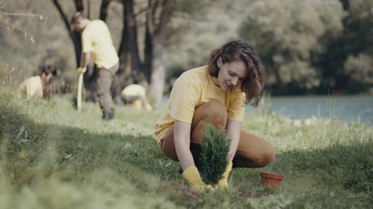 Tree and Shrub Care in Lodi, OH